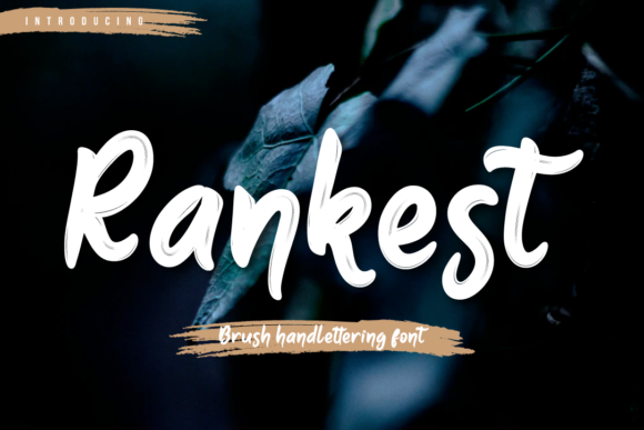 Discovering Rankest: A Handwritten Font for Editorial Elegance