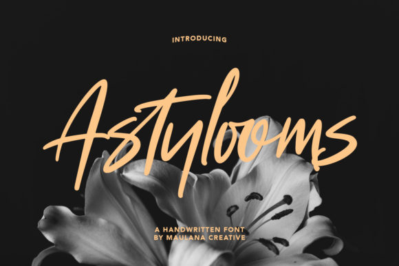 Enhance Your Campaigns with Astylooms Font
