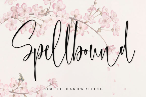 Spellbound: The Font That Elevates Your Campaigns