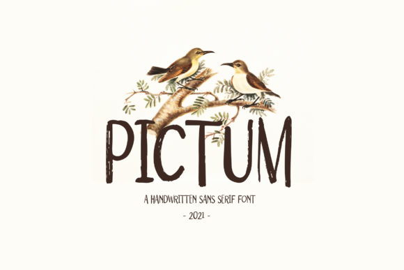 Transform Your Brand with Pictum: A Unique Display Font