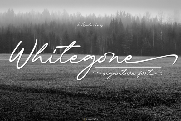 Whitegone: The Perfect Font for Eye-Catching Campaigns